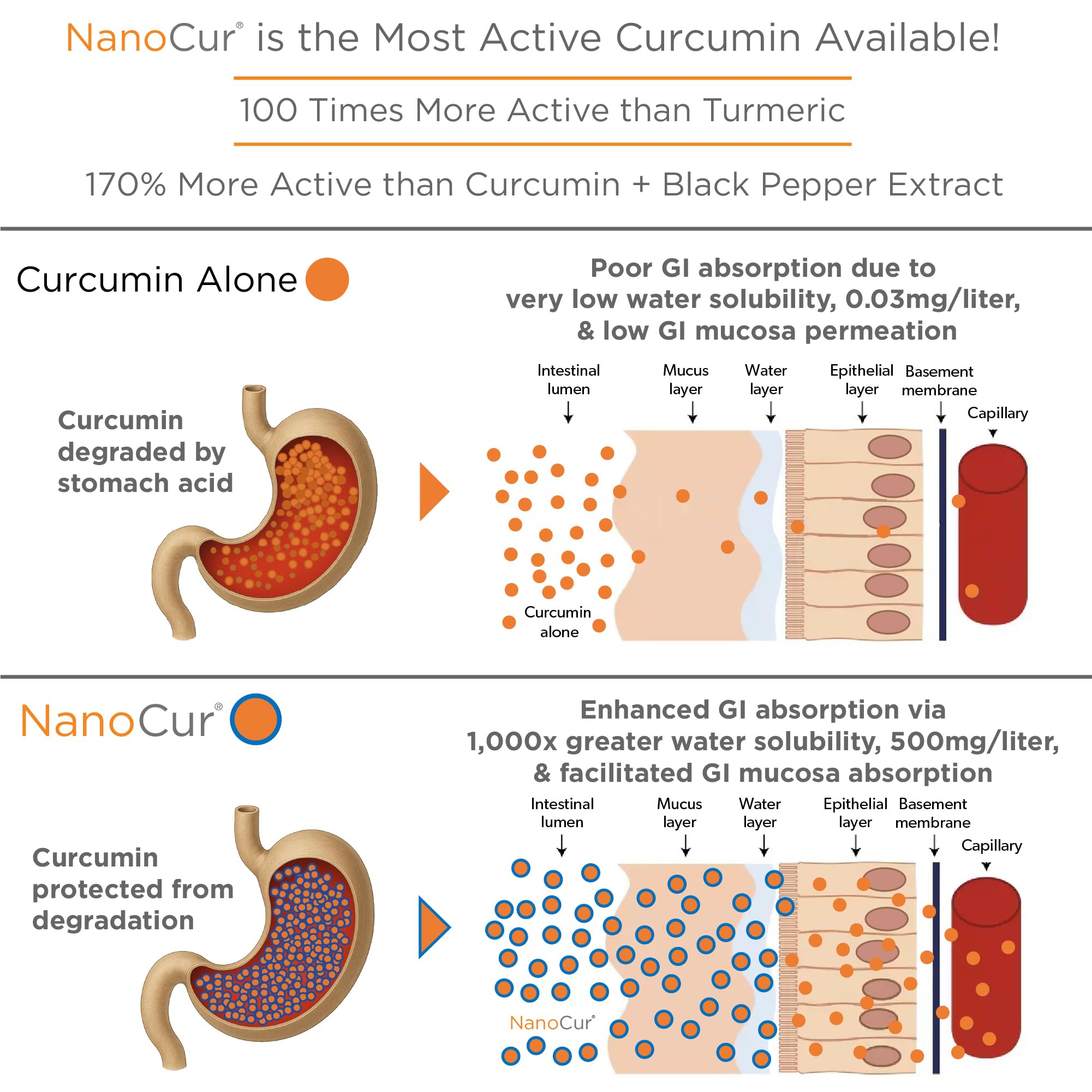 Nanocur label refresh design on premium packaging.