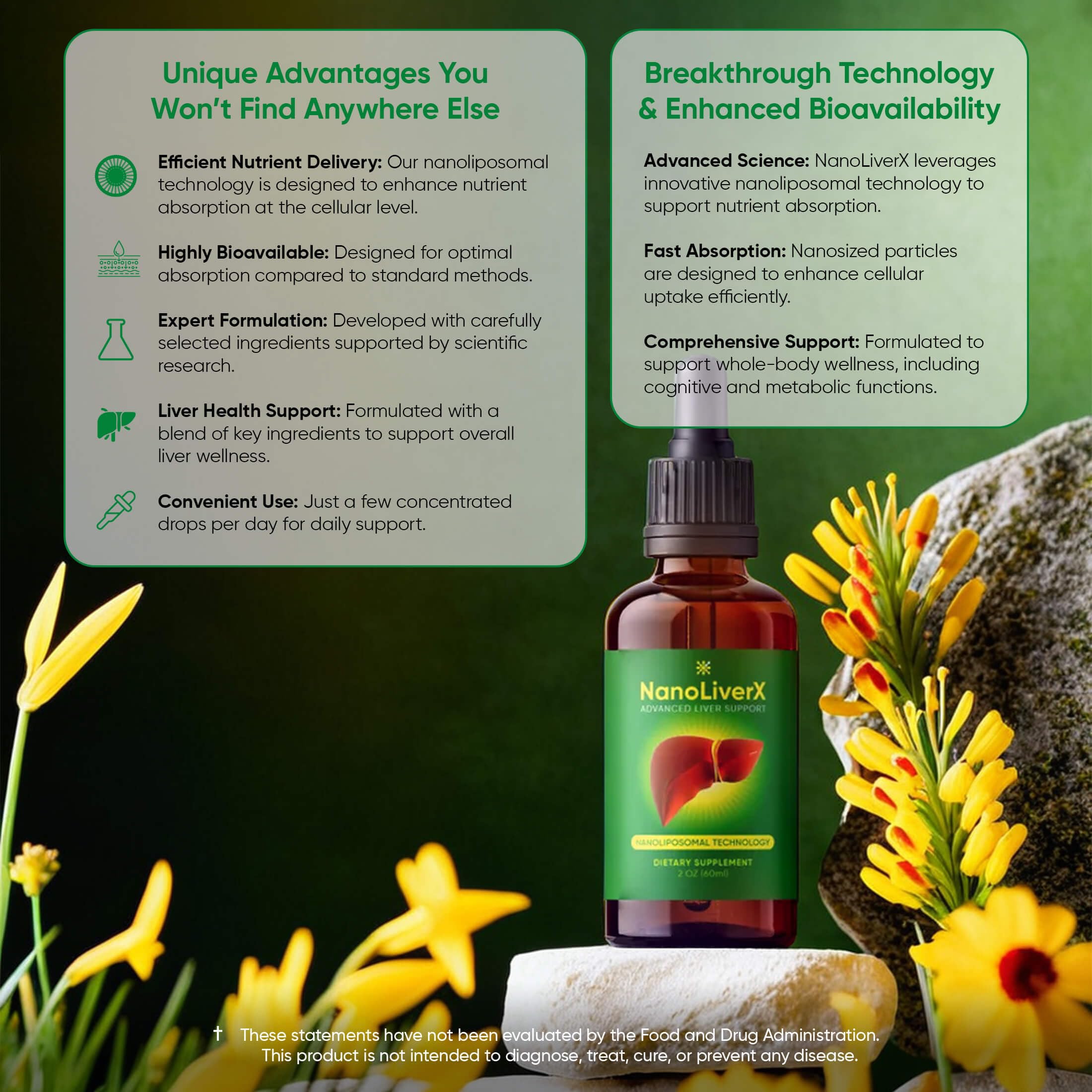 NANOREVIVE NanoLiverX ingredient close-up featuring Artichoke and antioxidants.