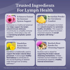 Nation Health MD Lymph MD ingredients spoon shows plant-based botanicals.