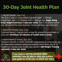 Native Source Indian Curcumin usage joint-support visual suggesting daily routine for flexibility.