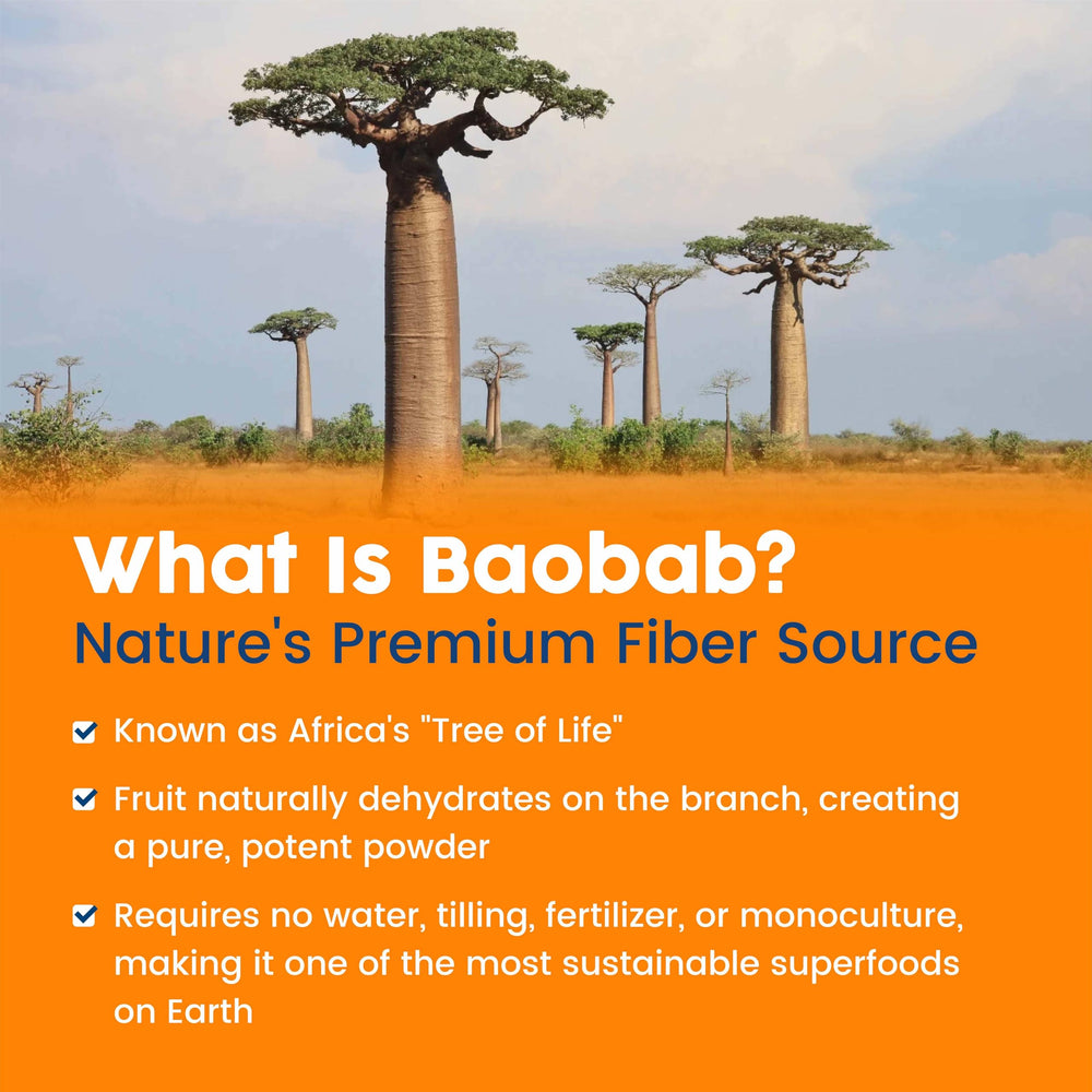 NativePath Baobab Prebiotic Fiber Powder dissolved in water reveals a refreshing citrus drink.