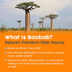 NativePath Baobab Prebiotic Fiber Powder dissolved in water reveals a refreshing citrus drink.