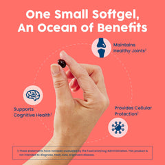 NativePath astaxanthin capsule close-up highlighting antioxidant content.