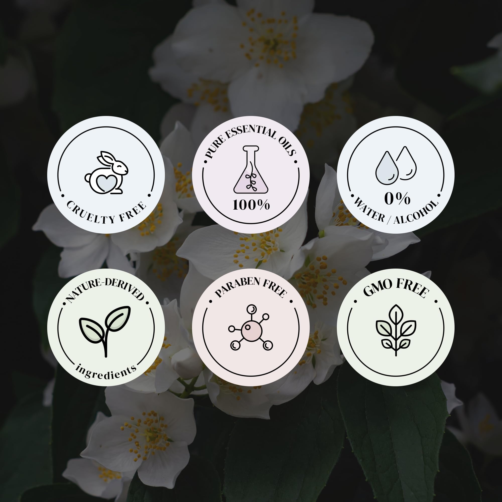 Natscent Jasmine Delight ingredients leaf showcases plant-derived composition