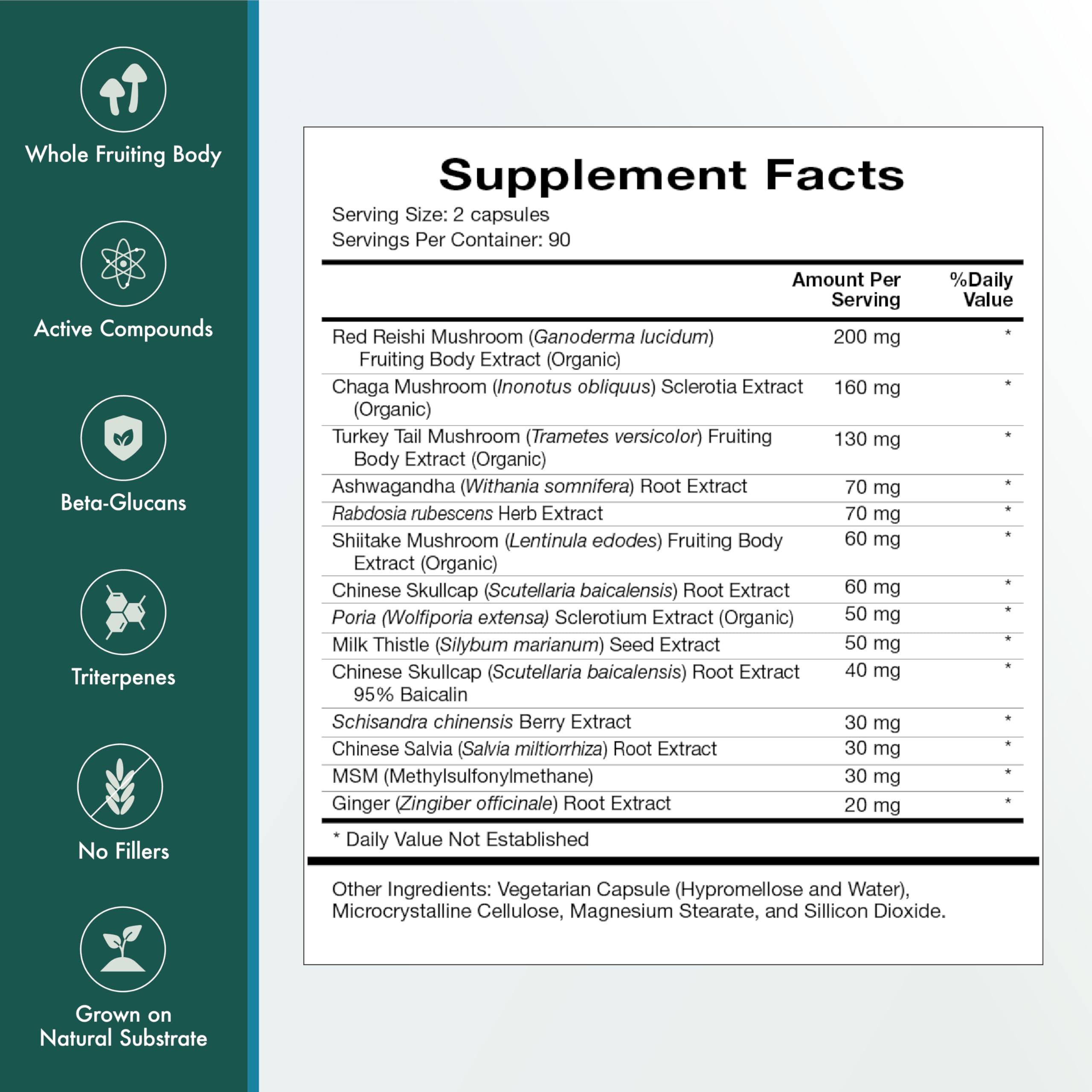 Natura Health Mushroom Synergy chaga visual emphasizing antioxidant potential