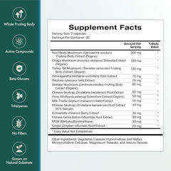 Natura Health Mushroom Synergy chaga visual emphasizing antioxidant potential