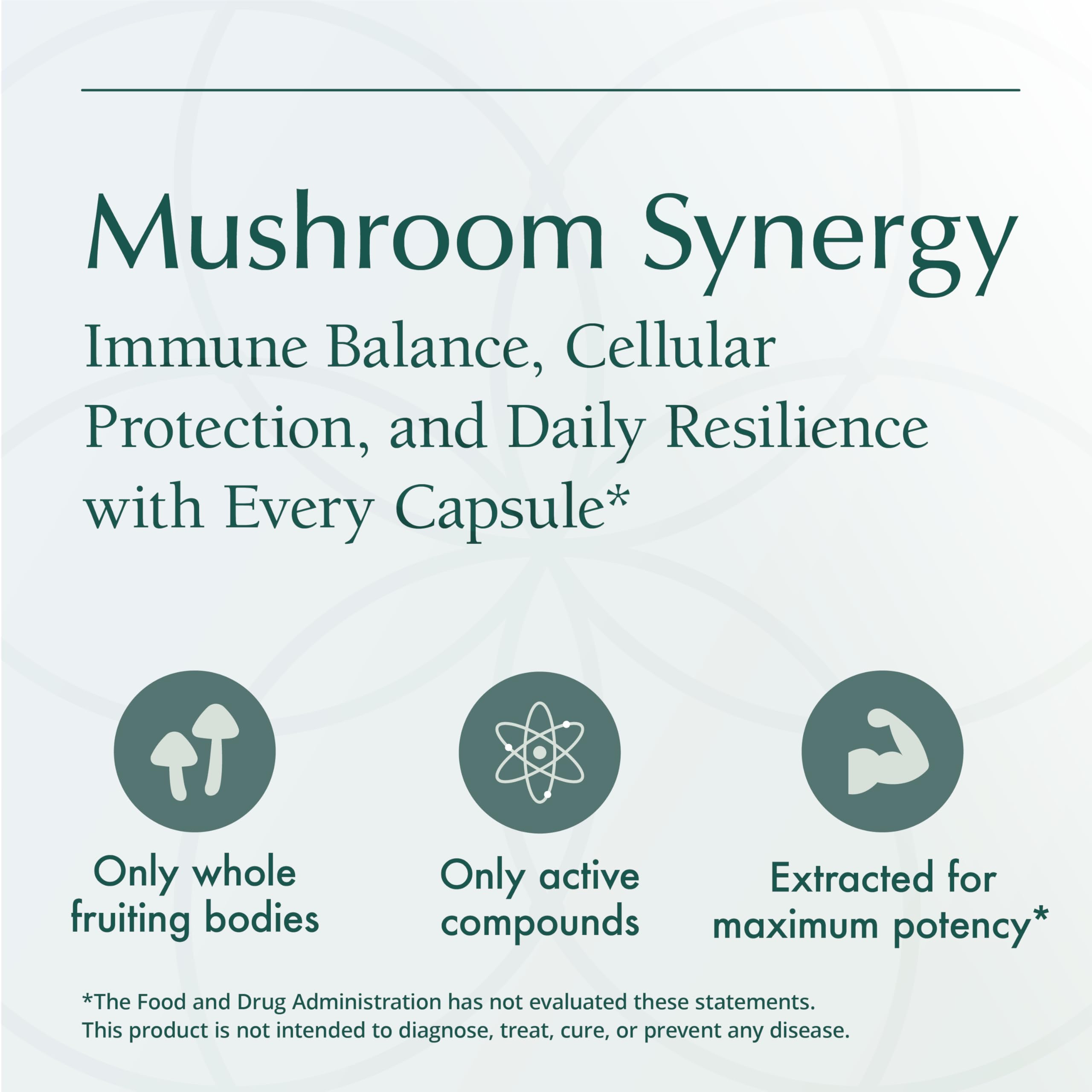 Natura Health Mushroom Synergy poria and shiitake mix in bottle