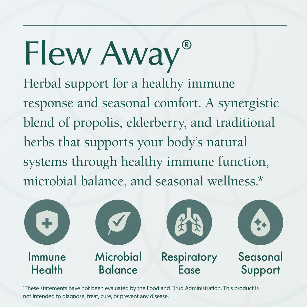 Ginger and elderberry depicted as natural ingredients in Natura Health Products Flew Away.