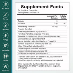 Packaging design for Natura Health Products Flew Away, emphasizing quality.