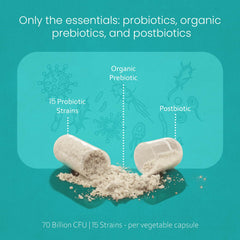 NaturaLife Labs Probiotics vegan capsules close-up showing plant-based formula