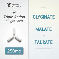 Natural Approach chelated magnesium ingredients illustration emphasizing absorption.