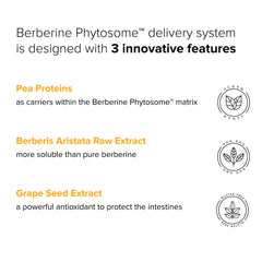 Natural BioScience Berberine Phytosome label emphasizes Berbevis sourcing and purity