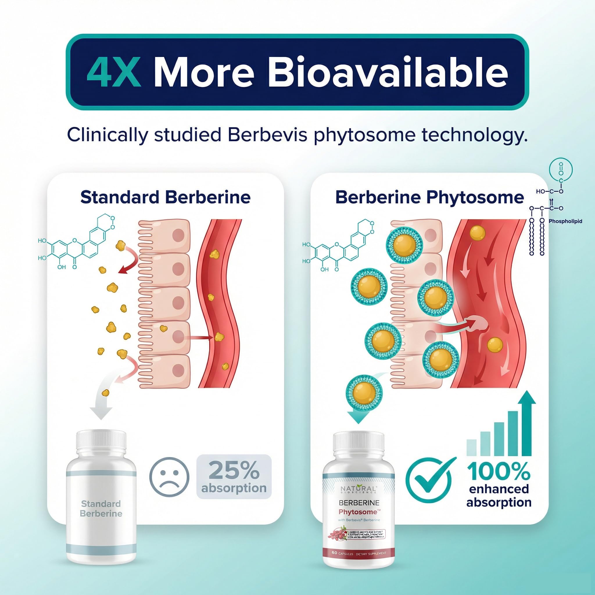 Natural BioScience Berberine Phytosome capsules ready for daily metabolic support