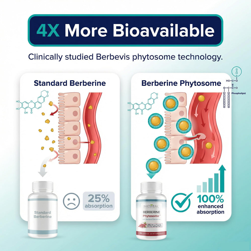 Natural BioScience Berberine Phytosome capsules ready for daily metabolic support
