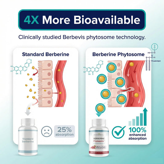 Natural BioScience Berberine Phytosome capsules ready for daily metabolic support