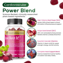 Just Beet It gummies with grape seed antioxidants pictured for vascular support.