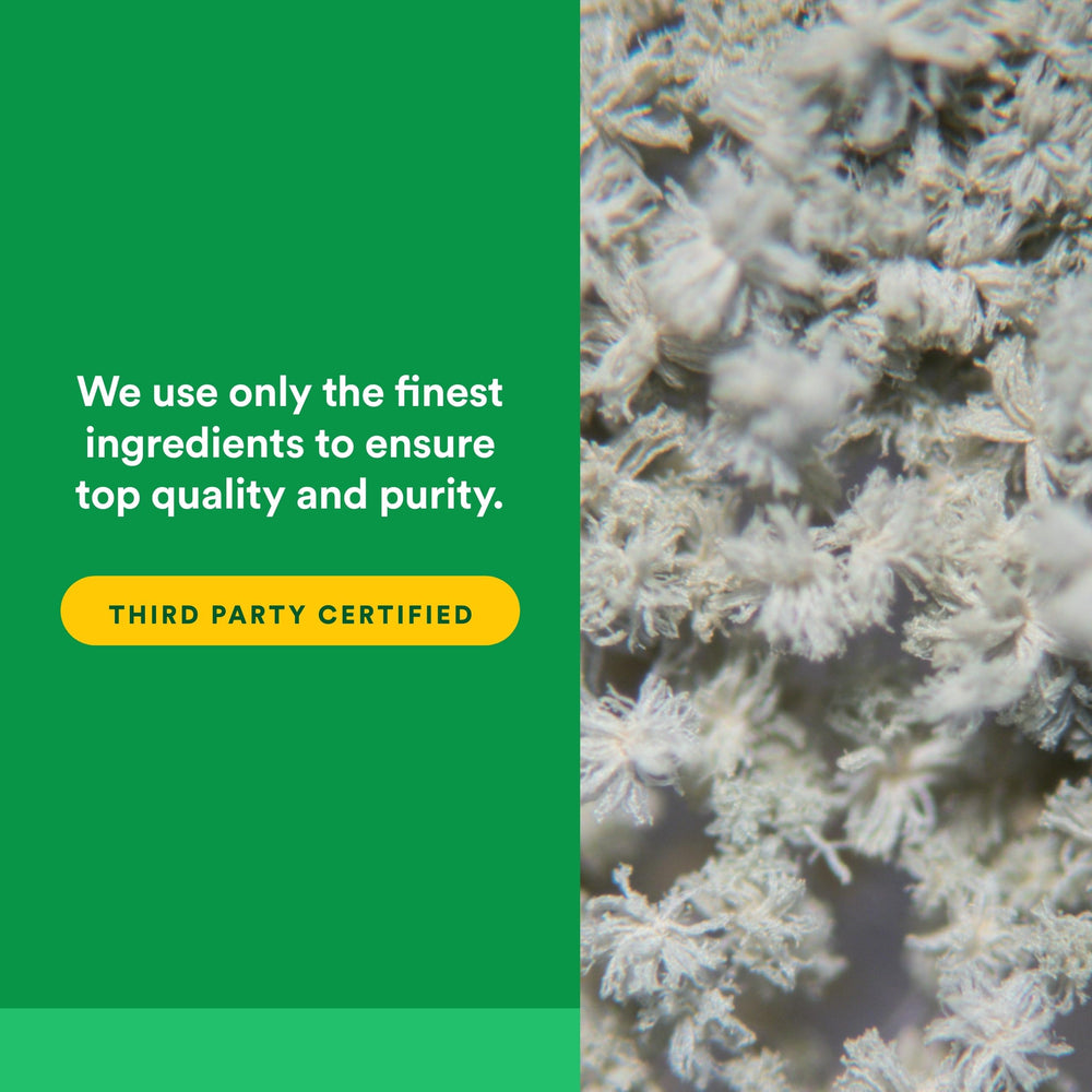 Natural Factors Bottle closeup non-GMO text emphasizes purity and transparency.