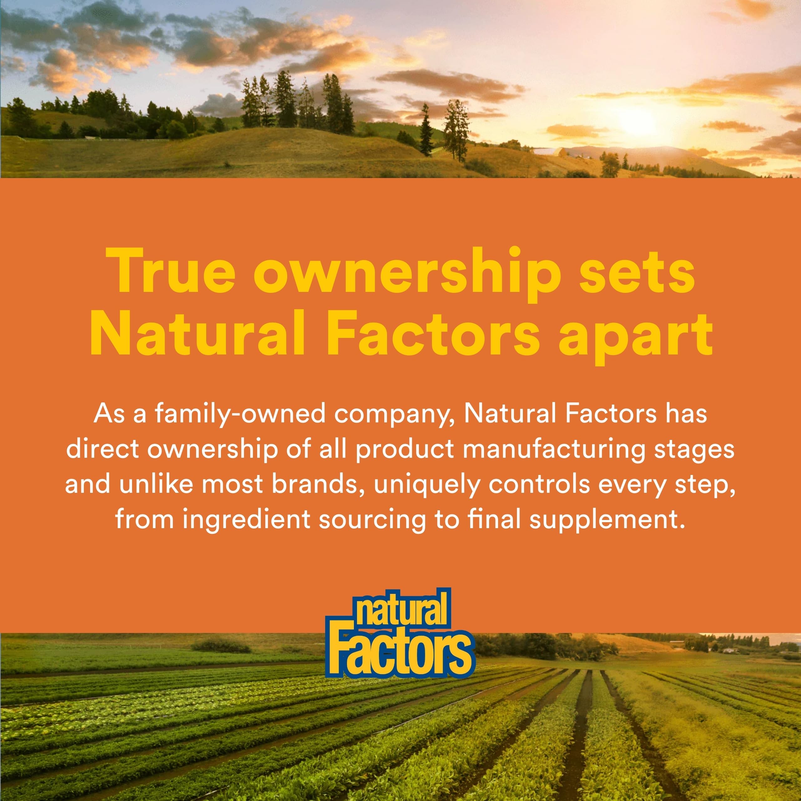Natural Factors CurcuminRich factory certifications and quality marks
