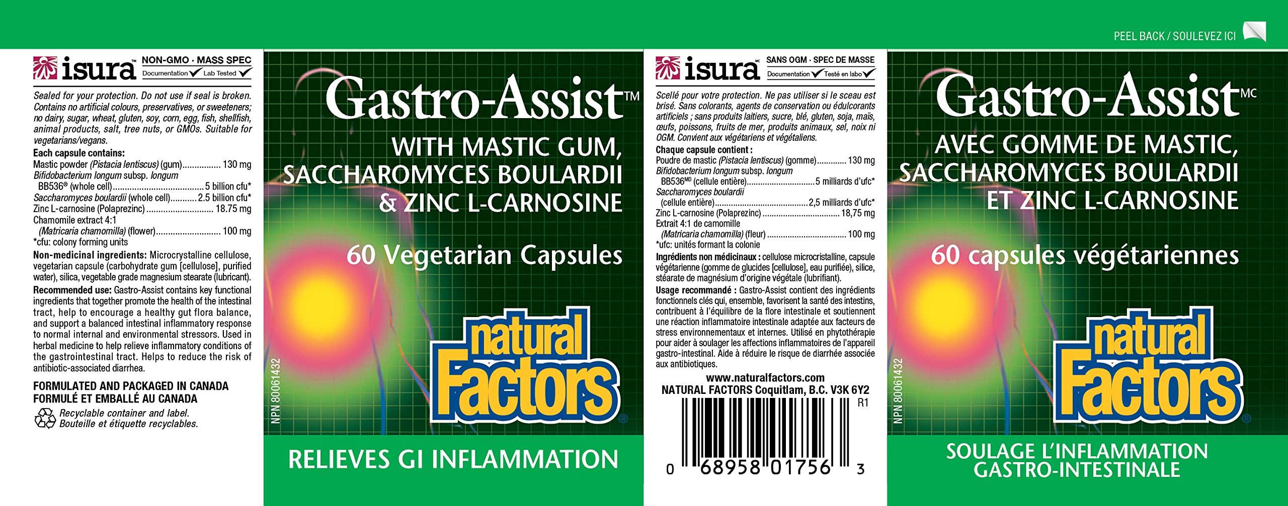 Natural Factors Gastro-Assist probiotic strains illustrating gut flora balance