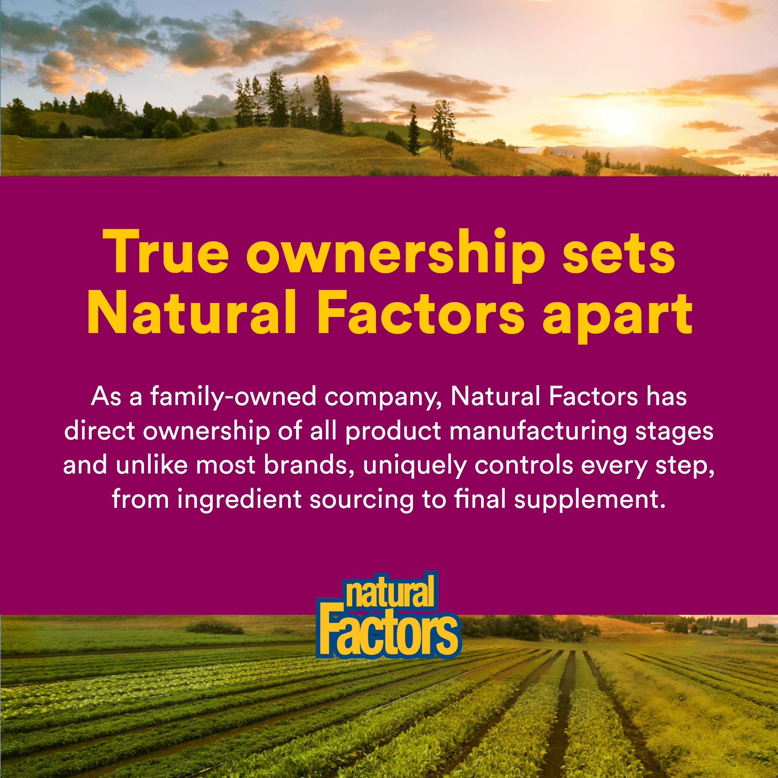 Natural Factors Oil of Oregano label with third-party certification.