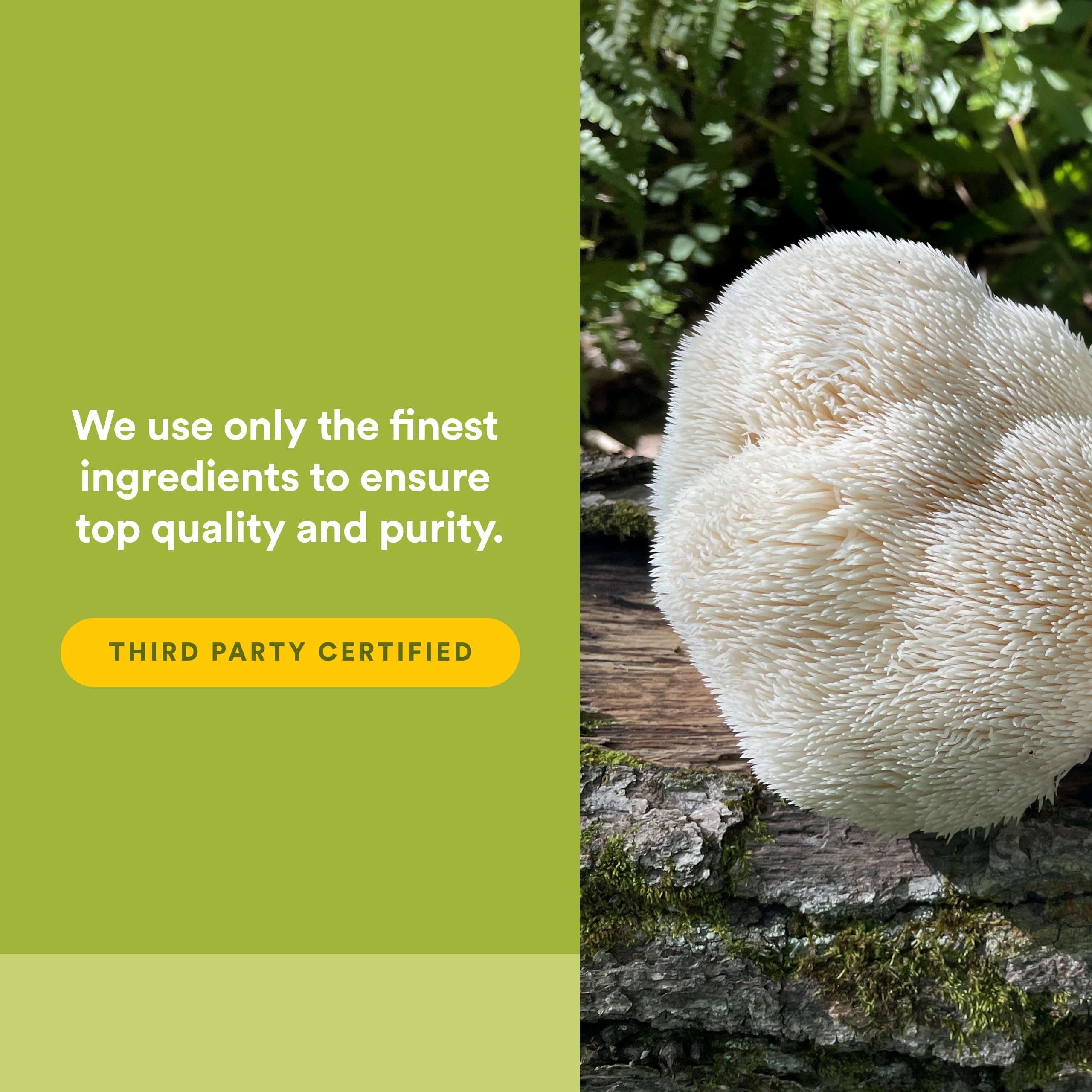Natural Factors Organic non-GMO farms badge highlights trusted sourcing