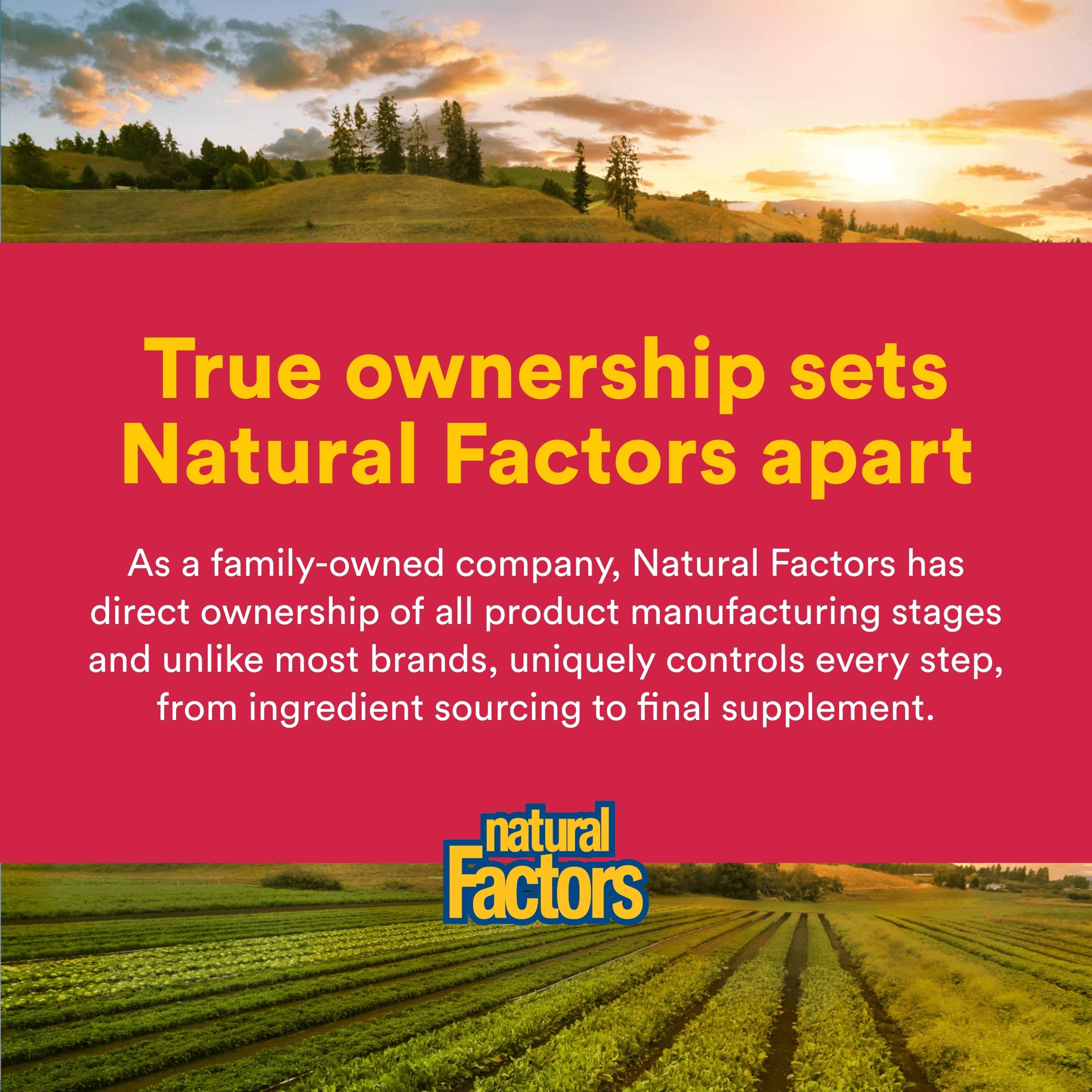 Natural Factors PGX Daily Ultra Matrix on kitchen counter for daily-use routine