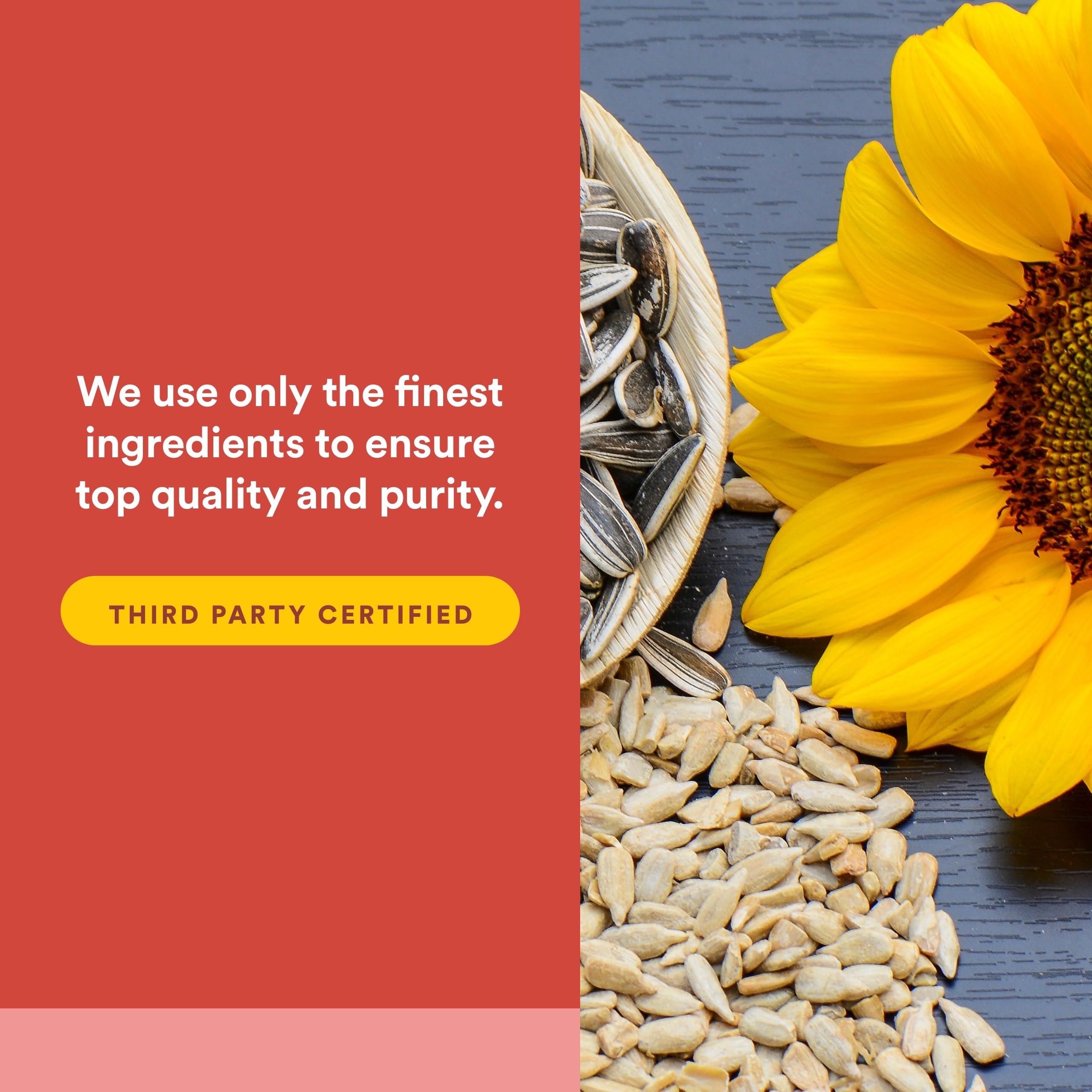 Gluten-free and dairy-free claim beside Natural Factors PQQ-10 bottle.
