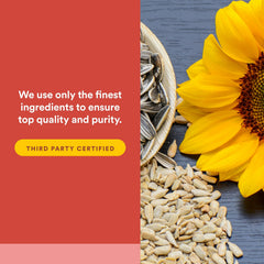 Gluten-free and dairy-free claim beside Natural Factors PQQ-10 bottle.