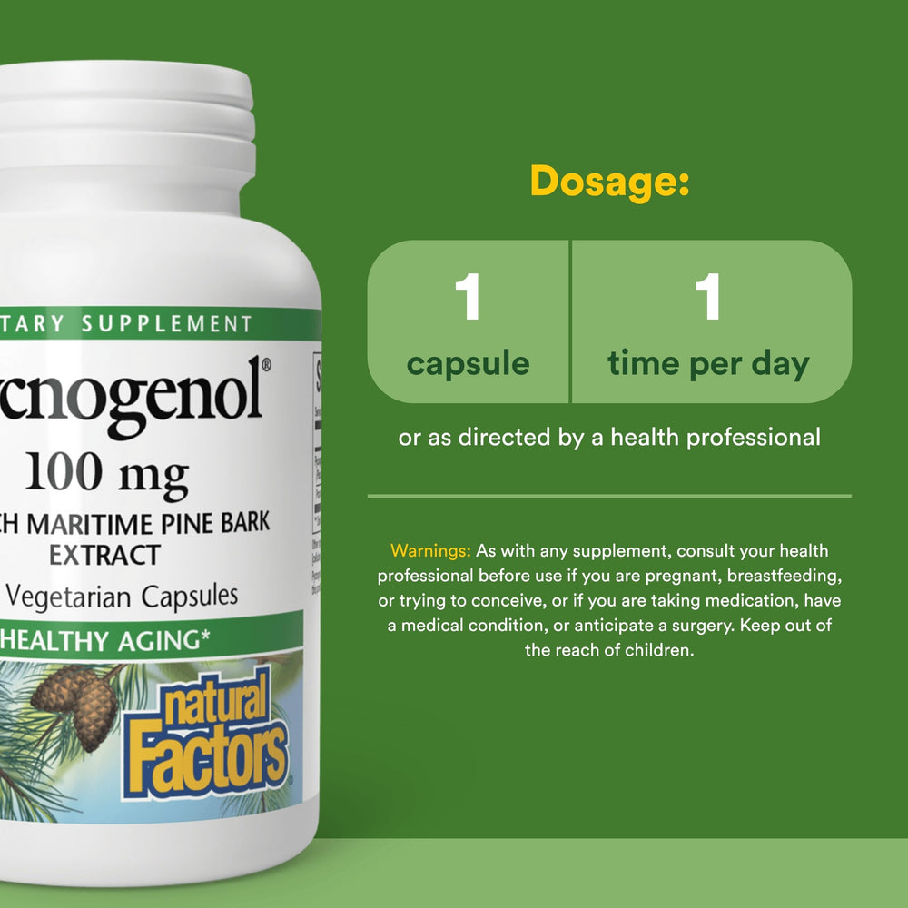 Natural Factors Pycnogenol packaging highlighting gluten-free, non-GMO ingredients