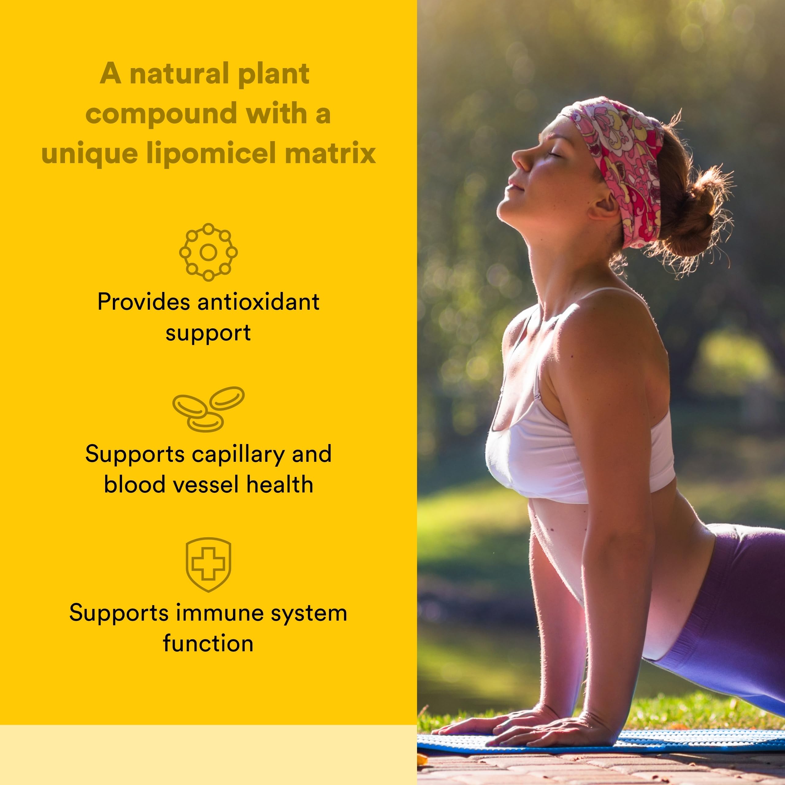 Natural Factors Quercetin Lipomicel softgels close-up demonstrates absorption