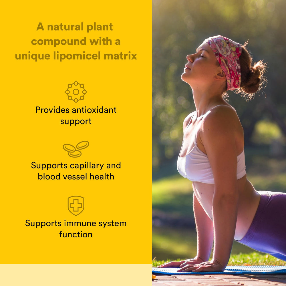 Natural Factors Quercetin Lipomicel softgels close-up demonstrates absorption