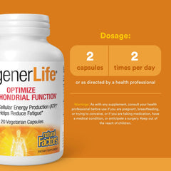 Close-up of RegenerLife ingredients featuring CoQ10 and R-lipoic acid benefits.