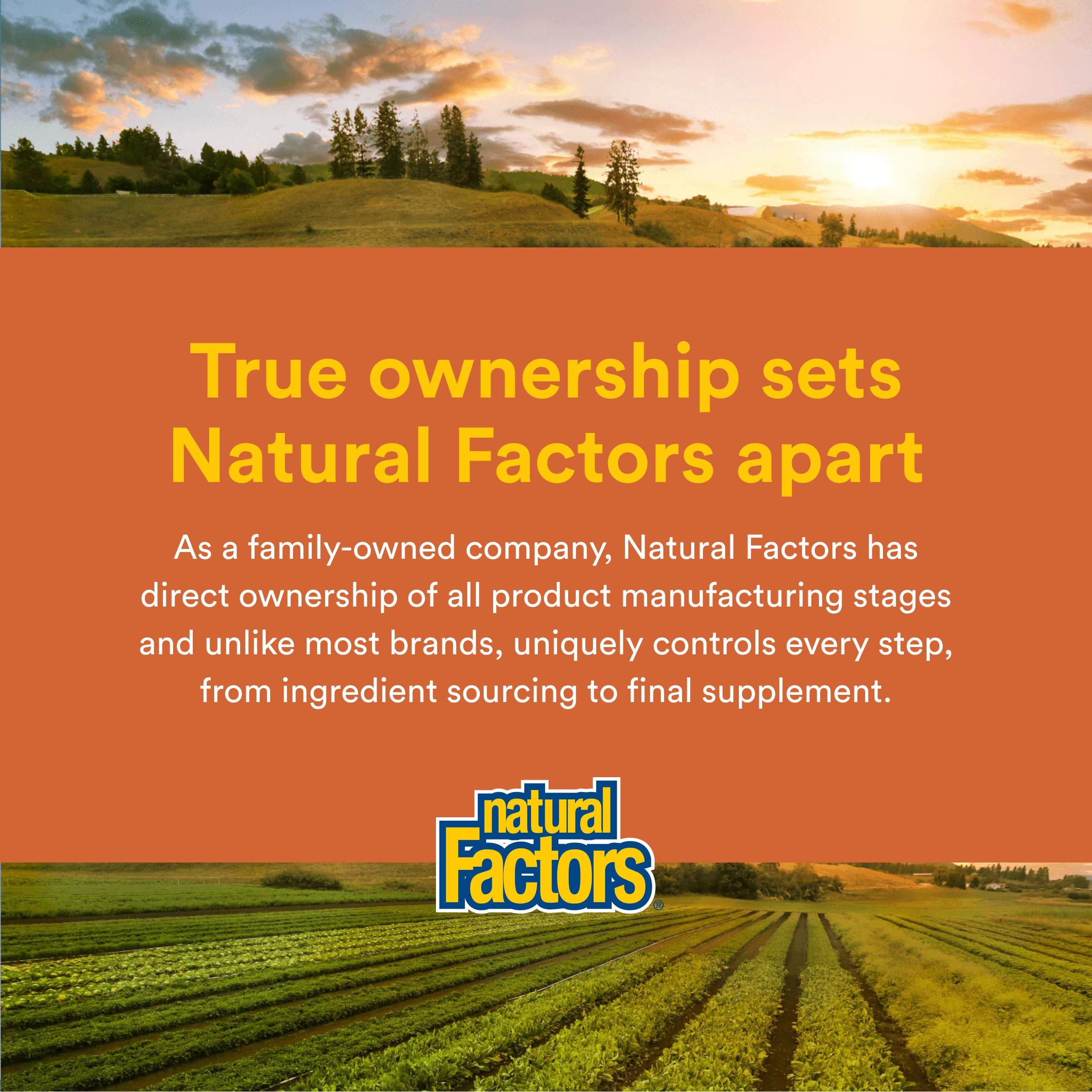 Natural Factors Regenerlife NMN NAD+ Boost morning routine scene promotes consistency.