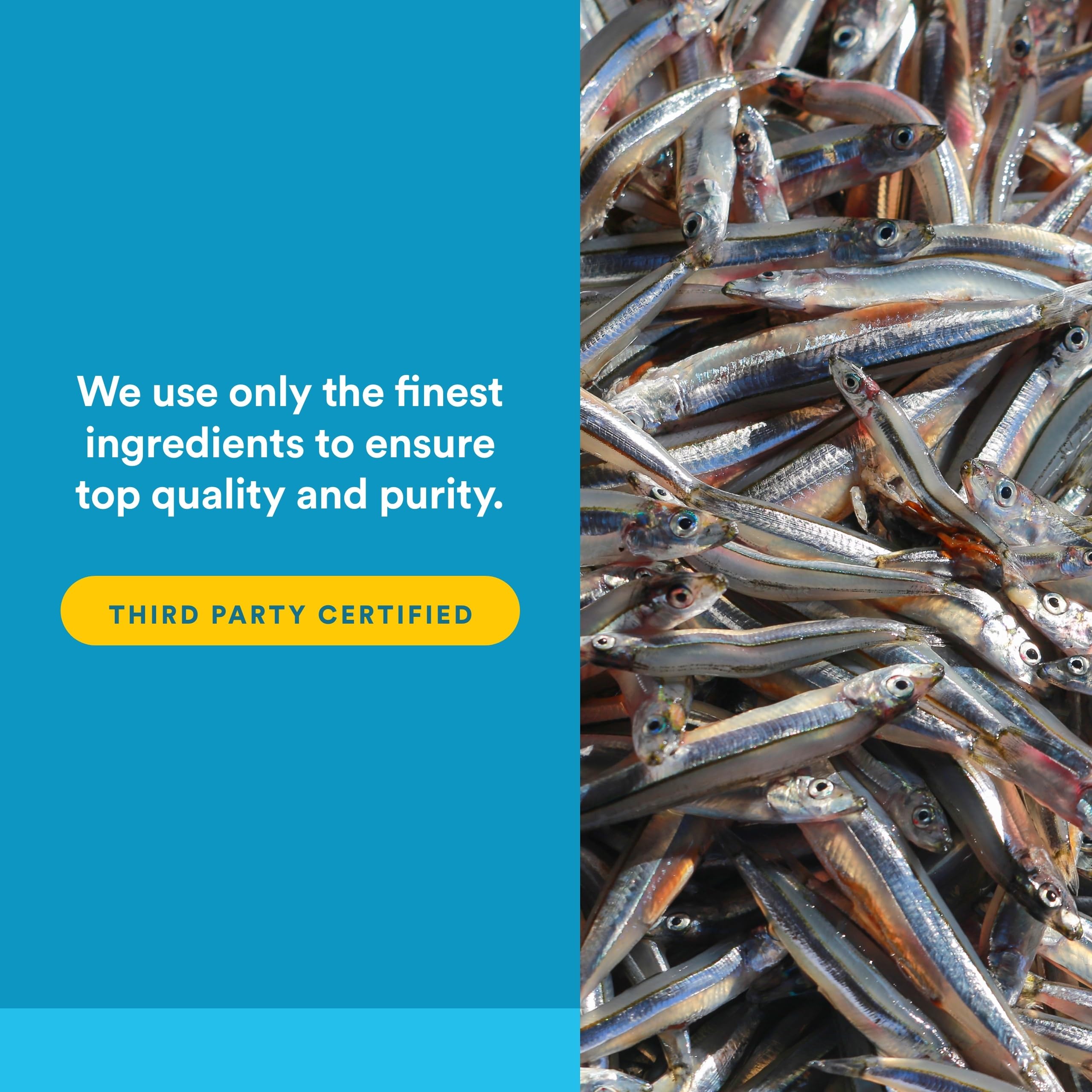 Natural Factors RxOmega-3 purity badge and third-party testing signals safety