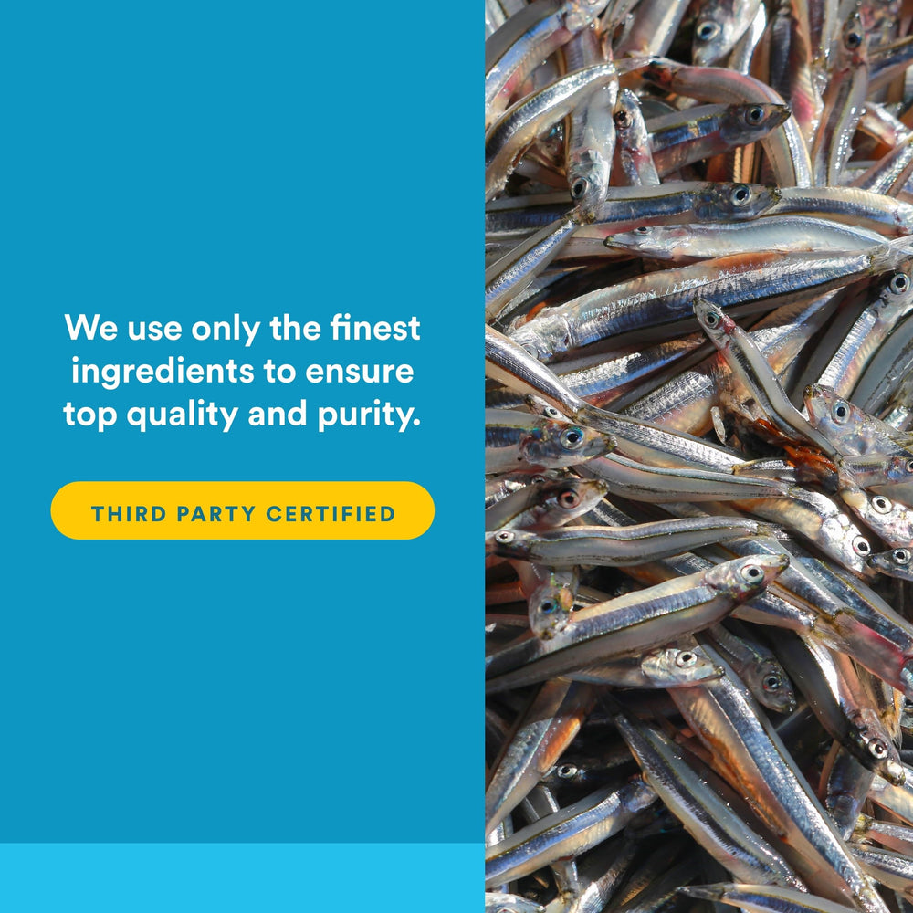 Natural Factors RxOmega-3 purity badge and third-party testing signals safety