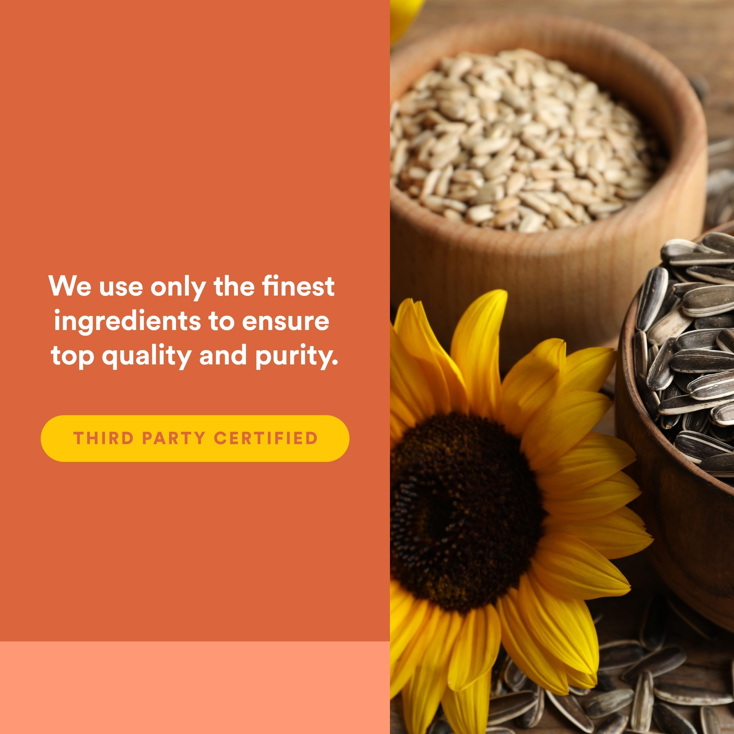 Natural Factors softgels being dispensed for on-the-go use