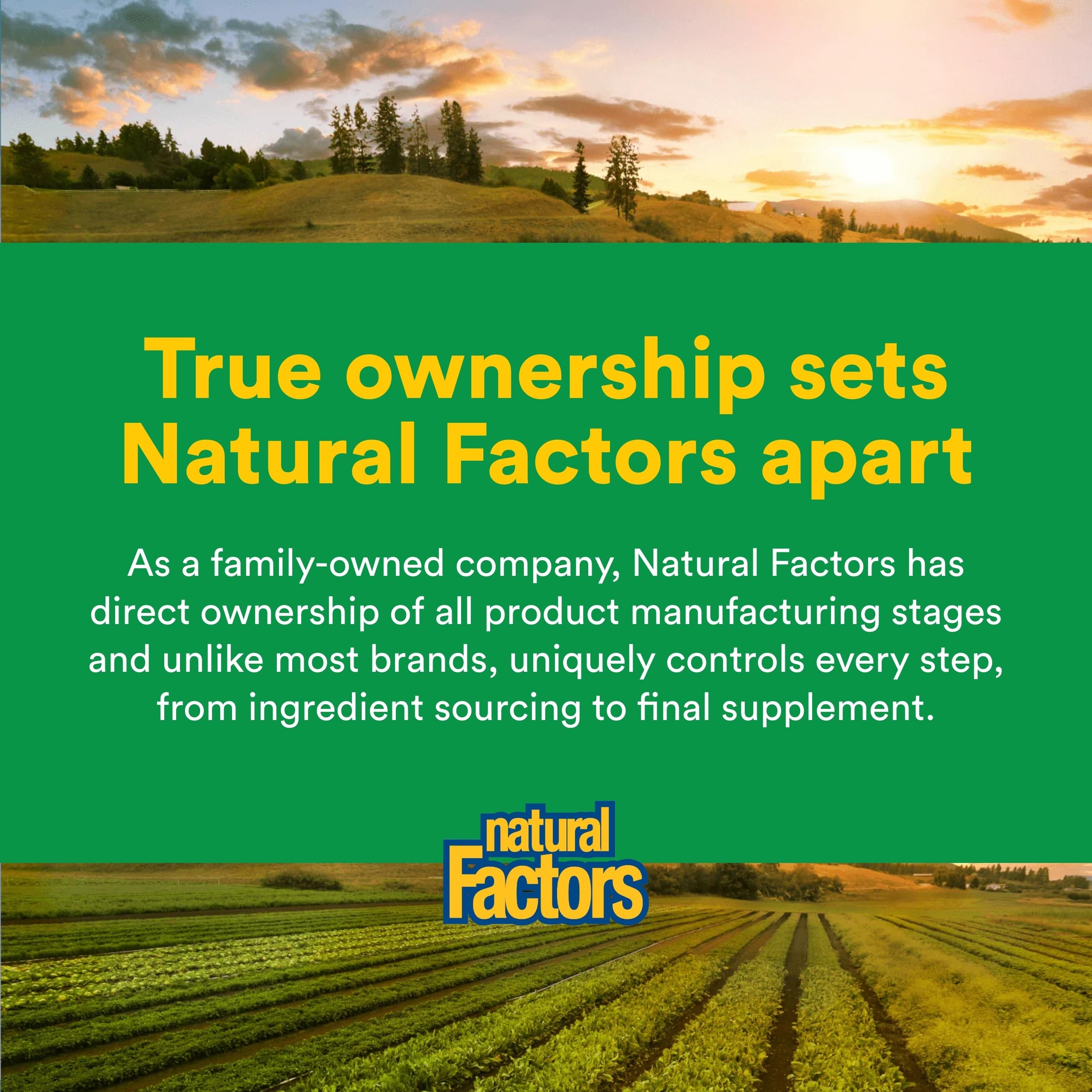 Natural Factors third-party testing certificates signify purity and potency assurances.