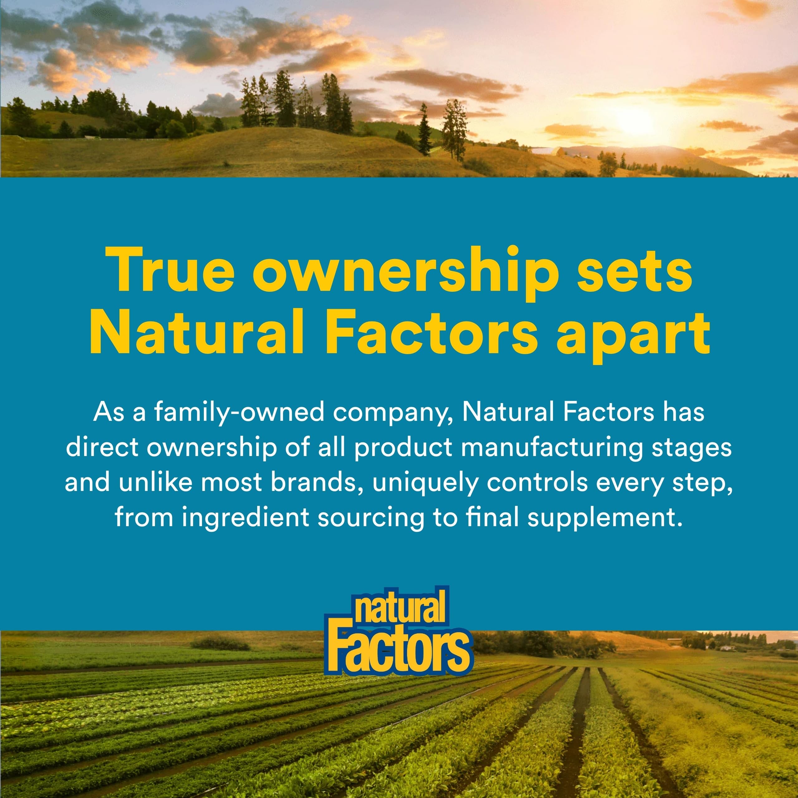 Natural Factors Ultimate Probiotic 12/12 packaging highlights vegan capsules.