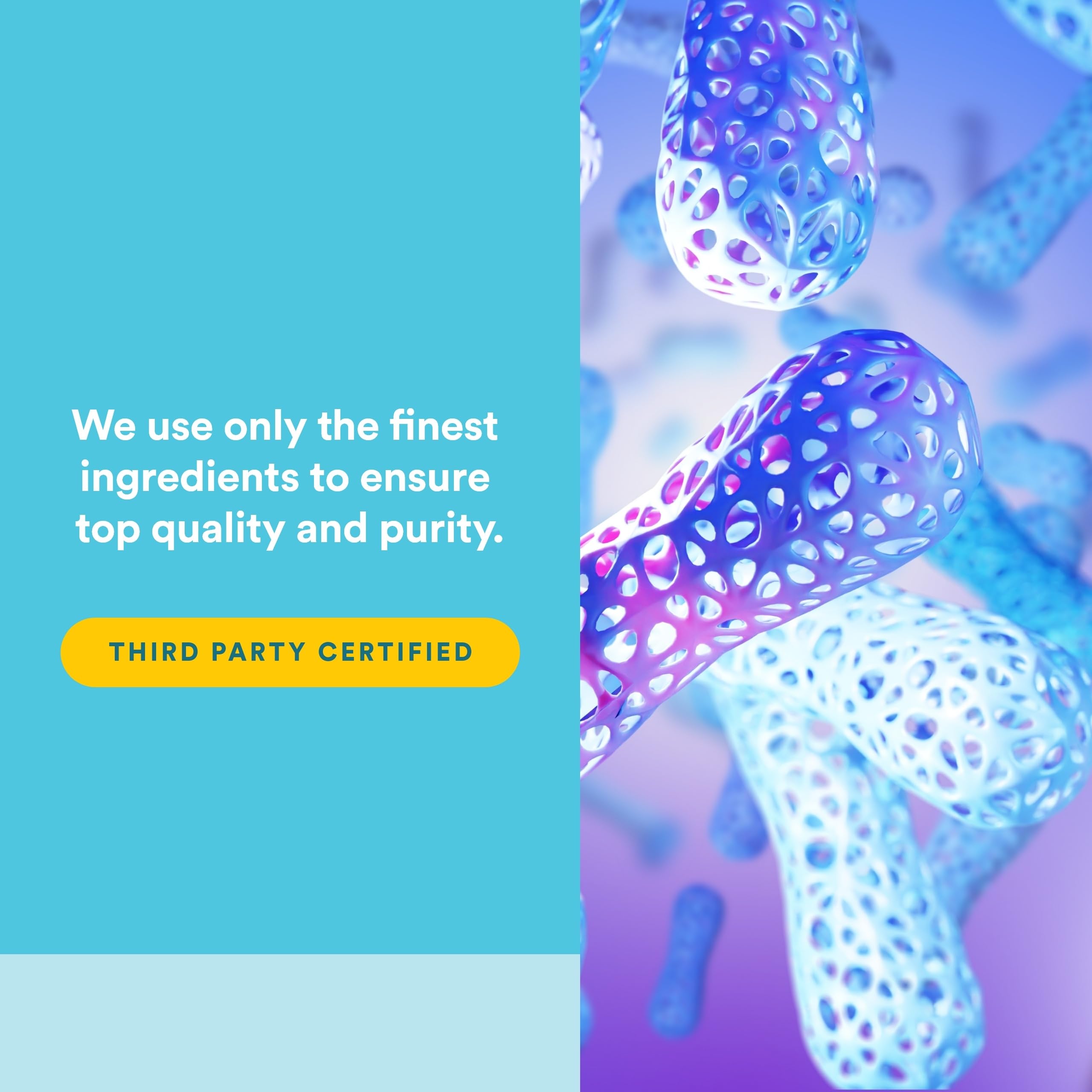 Natural Factors Ultimate Probiotic label highlighting prebiotic fiber