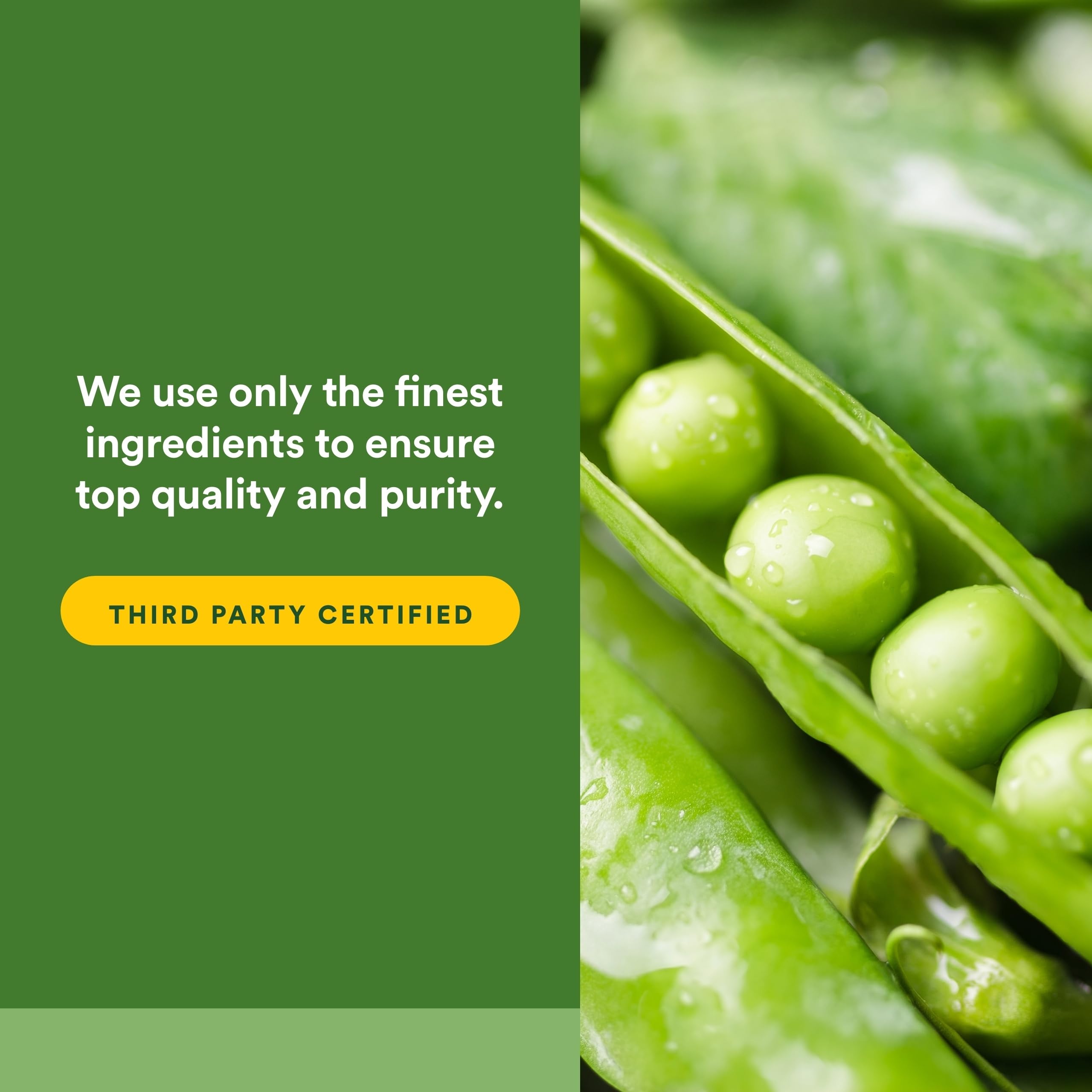 Natural Factors Whole Earth & Sea organic greens featuring fruits and vegetables on the label