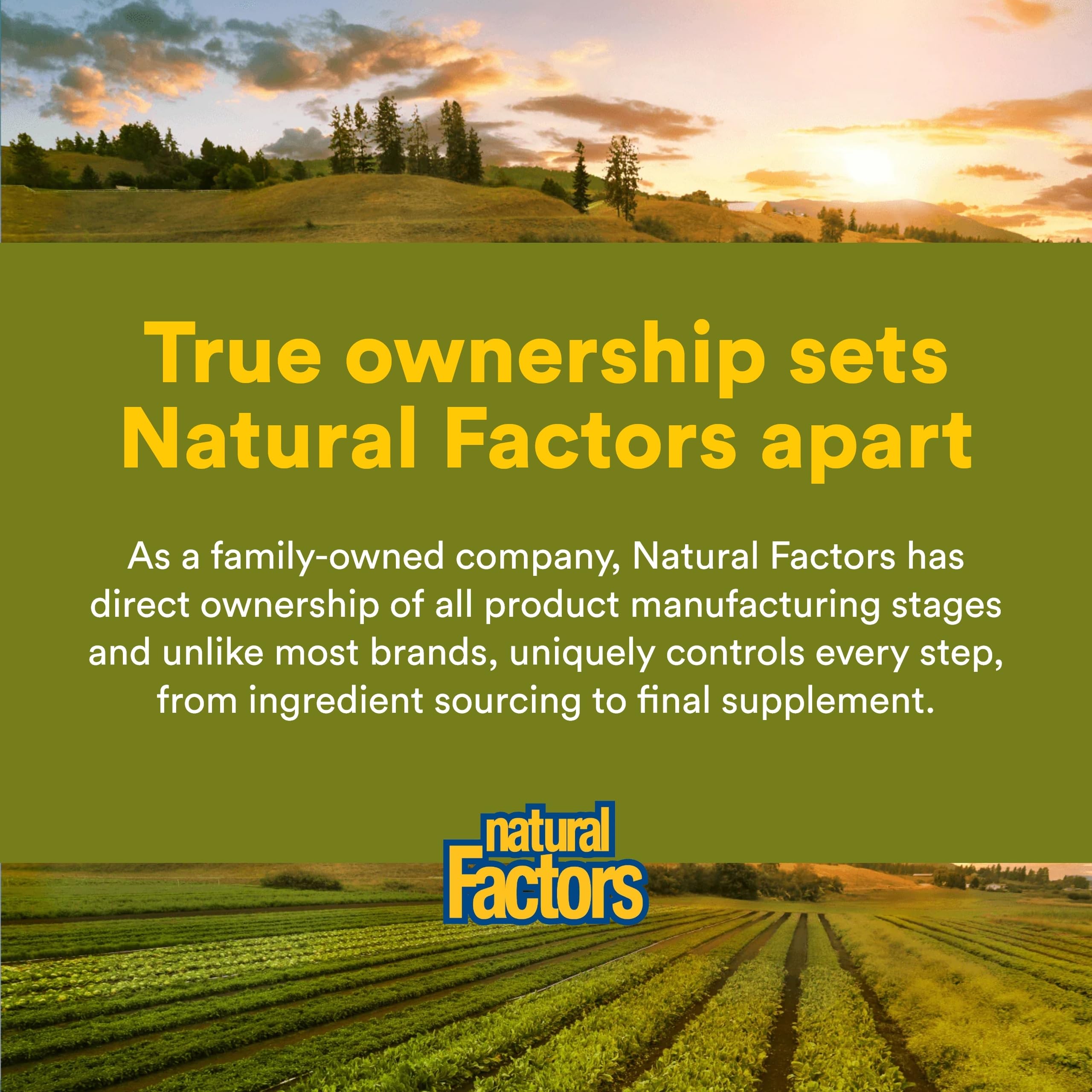 Natural Factors packaging box and bottle shown for product overview