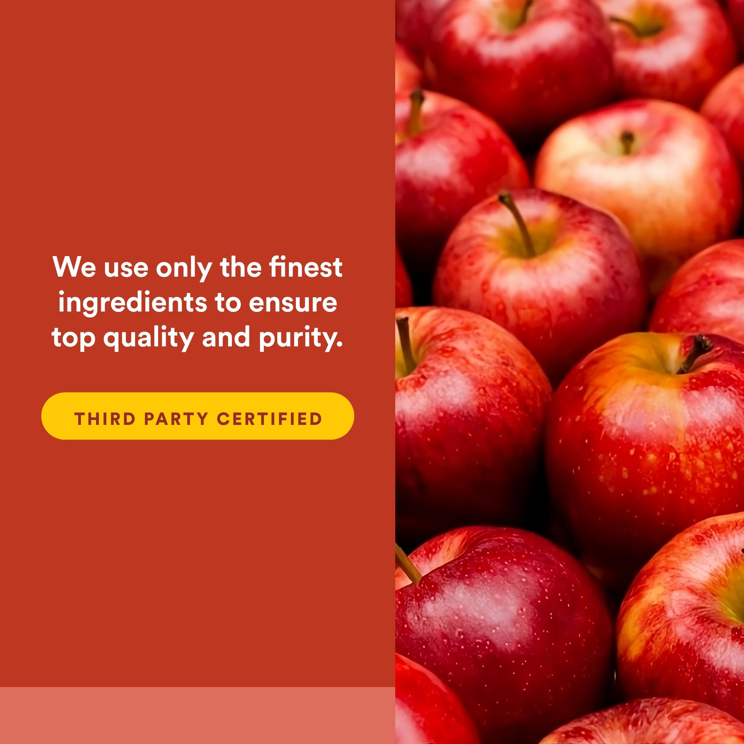 Outer packaging of Natural Factors Women's Plus MultiStart product