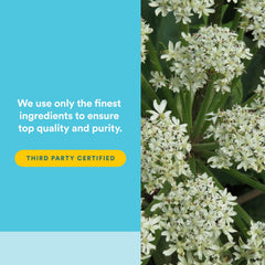 Ingredient blend of black cohosh, chasteberry, and dong quai in WomenSense MenoSense.