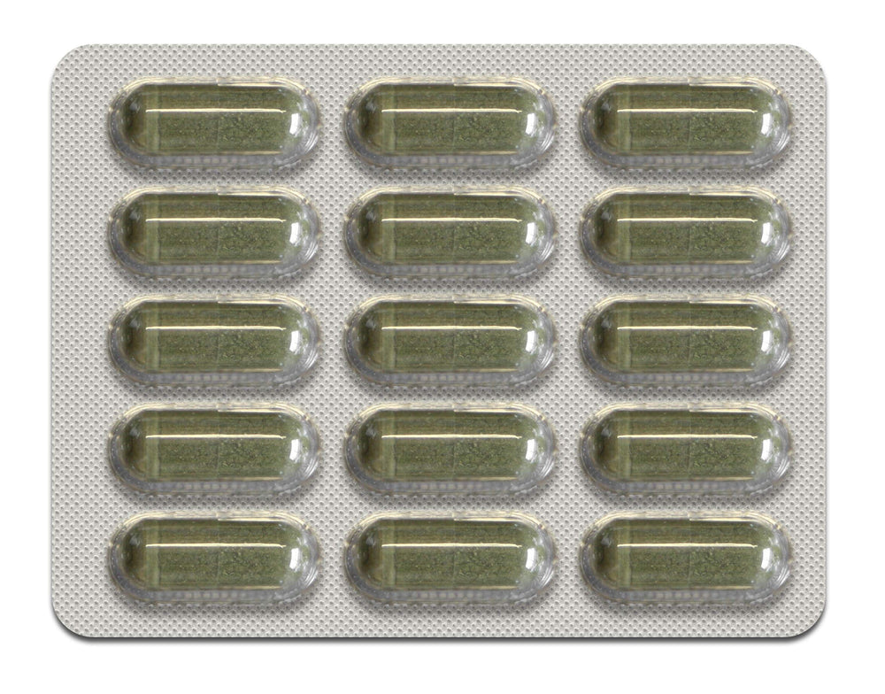 Natural Health International seed-to-shelf process image emphasizing quality control