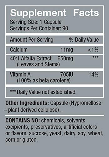 Natural Health International travel-friendly packaging for on-the-go daily greens
