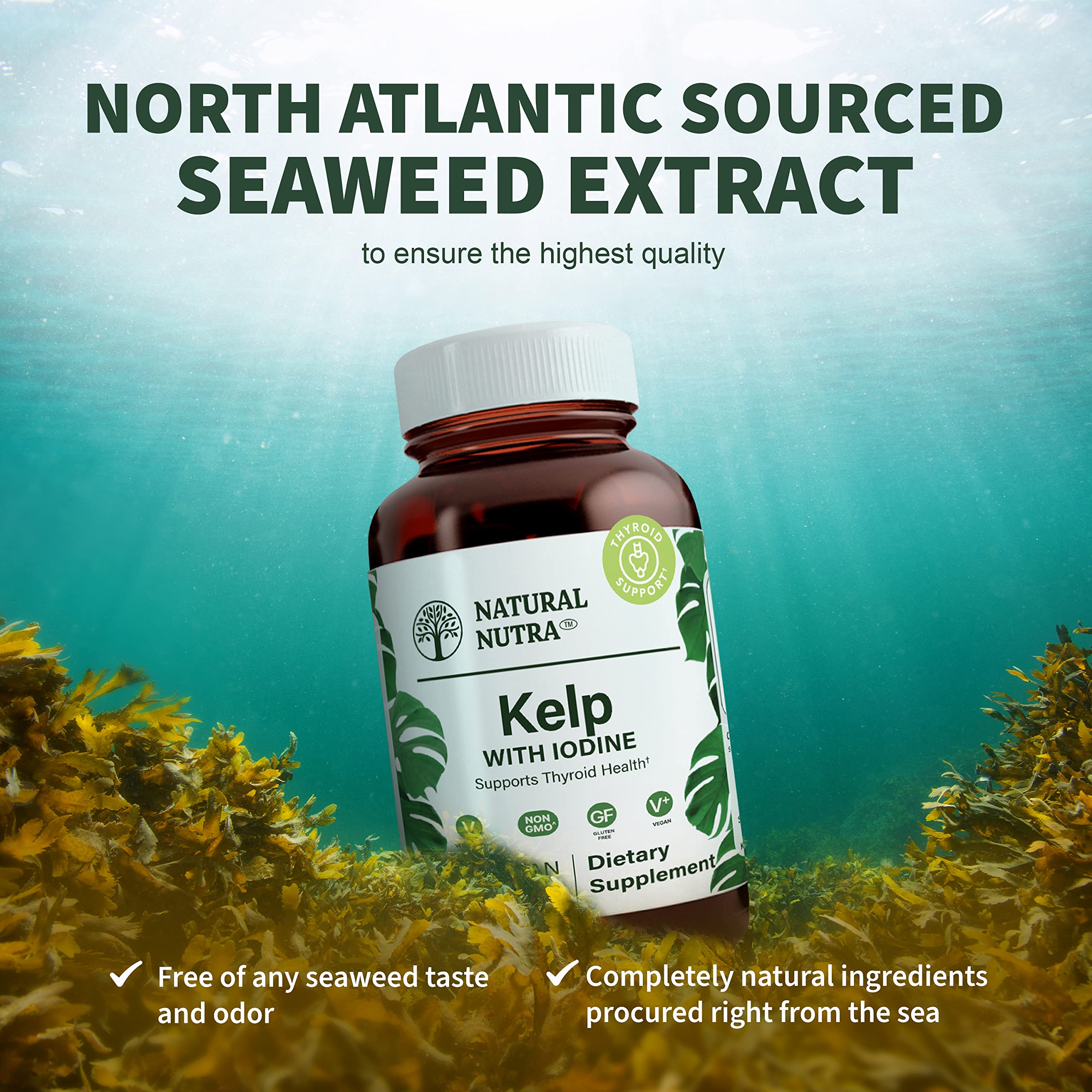 Atlantic seaweed extract graphic emphasizing high-quality source.