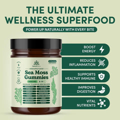 Natural Rems Sea Moss Gummies packaging demonstrates travel-friendly bottle.