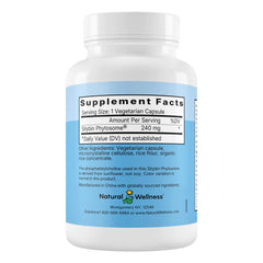 Natural Wellness Maximum Milk Thistle capsules in close-up highlight vegan capsules for plant-based wellness.
