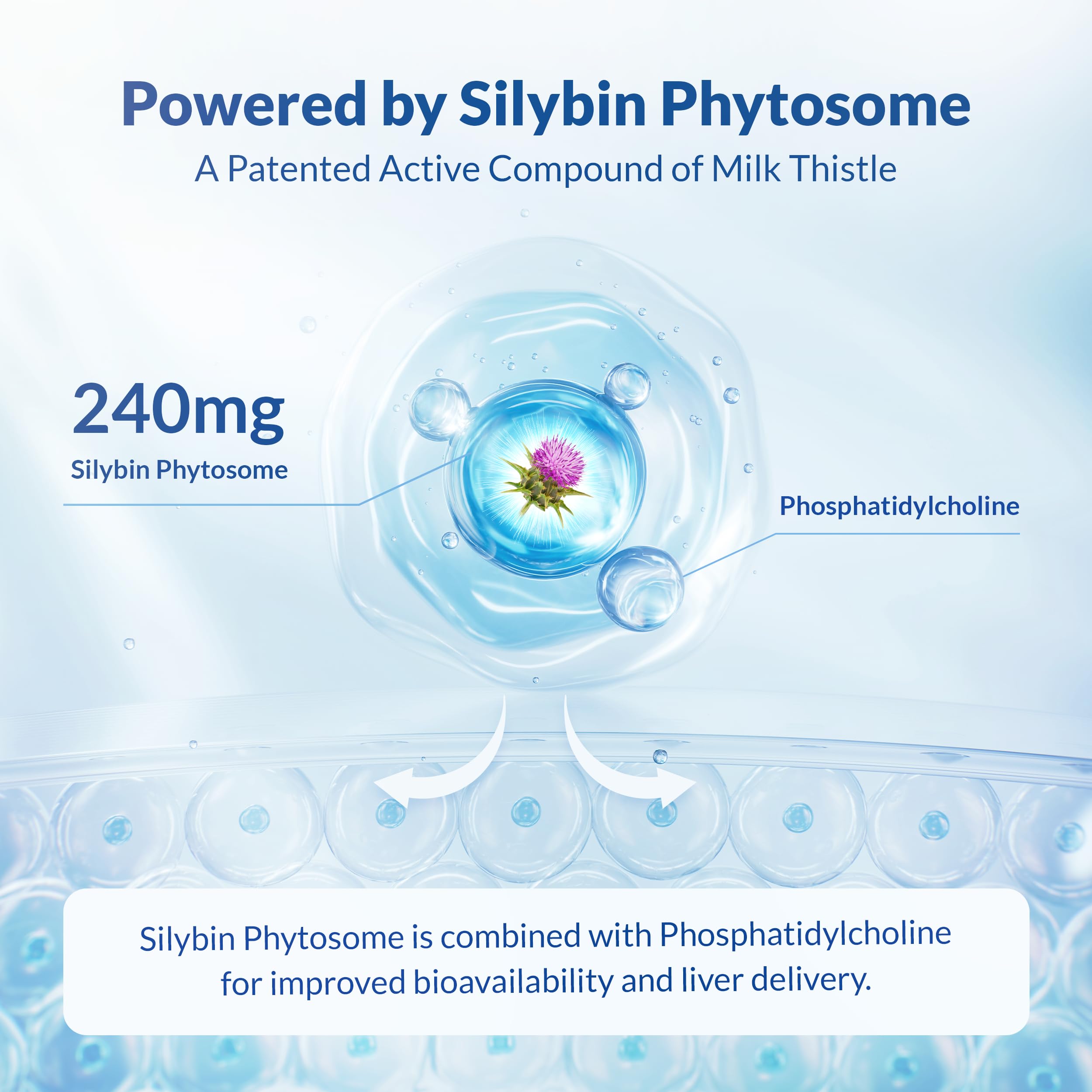 Natural Wellness Maximum Milk Thistle packaging box suggests a comprehensive liver wellness routine.