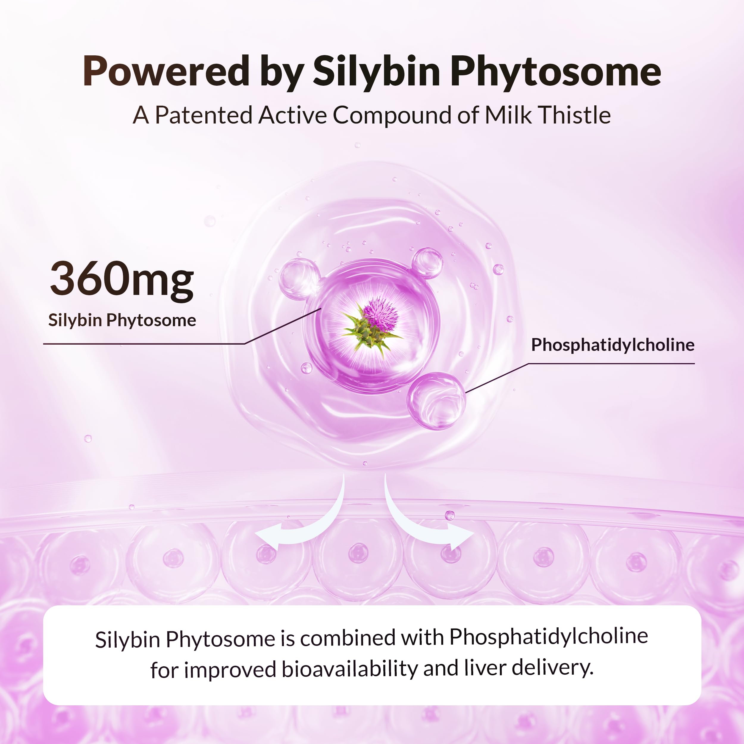 Natural Wellness UltraThistle gluten-free-no-soy formula for sensitive diets